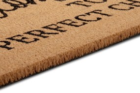 Hanse Home, Rohožka Welcome to our perfect chaos 105702 – na von aj na doma, 45x70, hnedá, chodba / predsieň