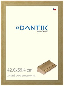 DANTIK rám na obraz 42x59,4 | ANDRÉ velká starostříbrná (Plexi Čiré)