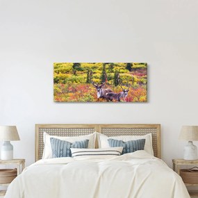 Obraz - Karibu na Aljaške (120x50 cm)
