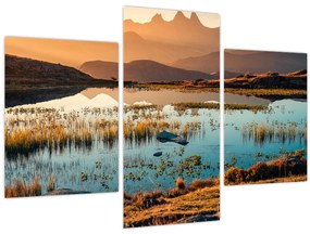 Obraz - Lac Guichard (90x60 cm)