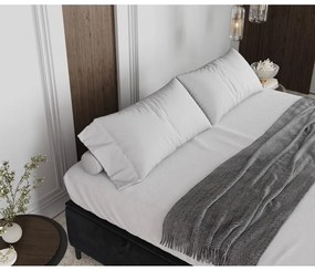 Antracitovosivá čalúnená dvojlôžková posteľ s úložným priestorom 160x200 cm Tate – Maison de Rêve