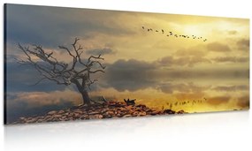 Obraz vyschnutý strom - 100x50
