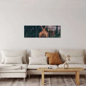 Obraz dvoch žiráf (s hodinami) (90x30 cm)