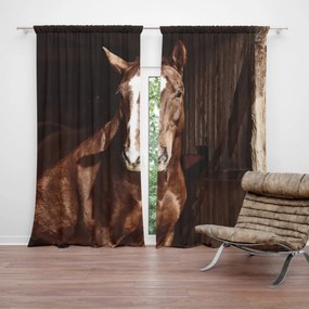 Sablio Záves Kôň v stajni: 2 ks 140x250 cm