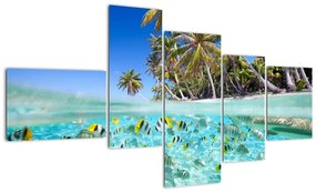 Obraz tropického mora