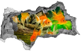 Diera 3D foto tapeta nálepka Zlatá rybka nd-b-89540196