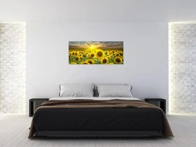 Obraz - Slnečnica pri západe slnka (120x50 cm)