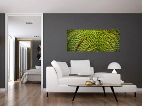 Obraz - Papraď (120x50 cm)