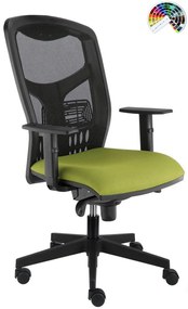 ALBA Kancelárska stolička YORK SIEŤ ŠÉF čalúnenie KOŽENKA Silvertex, Valencia