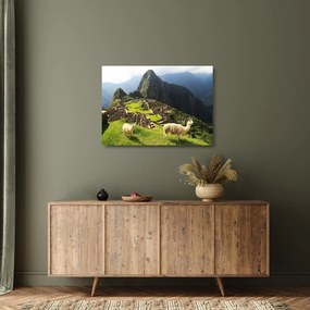 Sklenený obraz - Machu Picchu (70x50 cm)