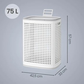 Kôš na bielizeň RLHB35021WG01