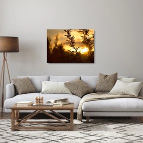 Sklenený obraz - Slnko zapadajúce za stromami (70x50 cm)