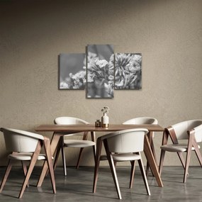 Obraz - Sušené kvety (90x60 cm)