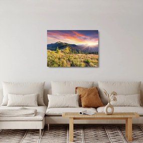 Sklenený obraz - Lesná krajina (70x50 cm)