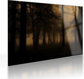 Sklenený obraz - Temný les (70x50 cm)