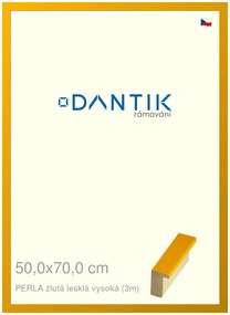 DANTIK rám na obraz 50x70 | PERLA žlutá lesklá vysoká (Plexi Čiré)