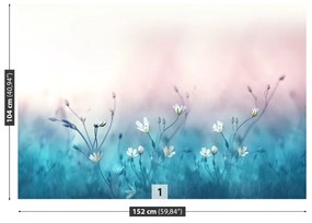 Fototapeta Vliesová Biele kvety 104x70 cm