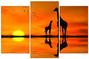 Obraz na plátne - Žirafy silueta 1919C (105x70 cm)