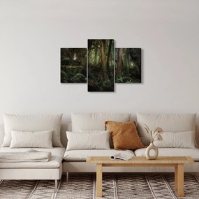 Obraz - Tajomný les (90x60 cm)