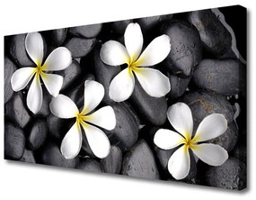 Obraz na plátne Kvety rastlina príroda 120x60 cm