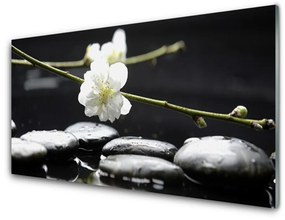 Obraz na skle Kvet kamene umenie 120x60 cm