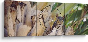 Obraz veveričky na strome (s hodinami) (90x30 cm)