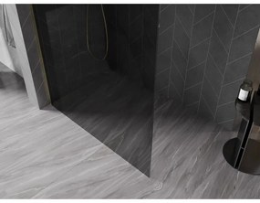 Mexen, Mexen Kioto-X sprchová stena 100 x 200 cm, grafit 10 mm, zlatý kartáč - 800-100-101-55-40-X