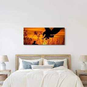 Obraz siluety dravca (120x50 cm)