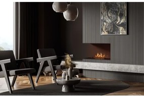 Planika Senso Fireplace BEV- Vstavaný BIO krb 56,2x75 cm 2,5kW+dálkové ovládanie