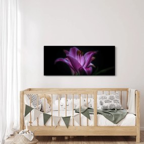 Obraz ľalia (120x50 cm)