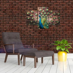 Obraz - Páv (90x60 cm)