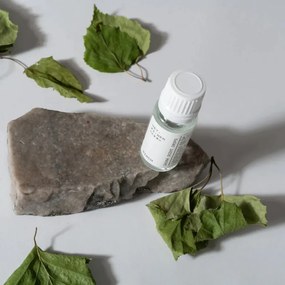 Vôňa do sauny breza 10ml
