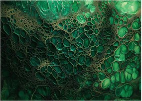 Sklenený obraz - Zelený mikroskopický záber (70x50 cm)