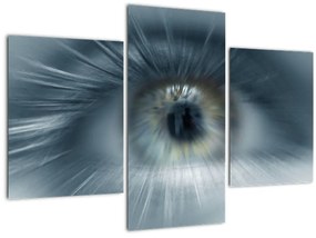 Obraz - Pohľad oka (90x60 cm)