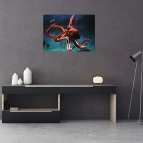 Sklenený obraz - Chobotnica (70x50 cm)