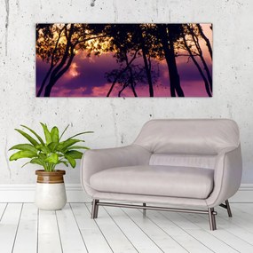 Obraz - Stromy pri západe slnka (120x50 cm)