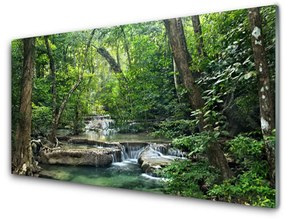 Sklenený obklad Do kuchyne Lesné les príroda 125x50 cm