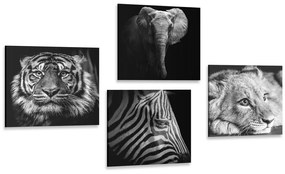 Set obrazov divoké zvieratá v čiernobielom prevedení - 4x 40x40