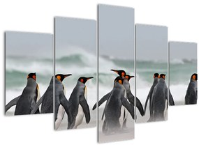 Obraz tučniakov pri oceáne (150x105 cm)