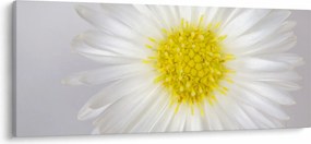 Obraz - Margarita (120x50 cm)