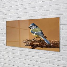Nástenný panel  Vták 140x70 cm