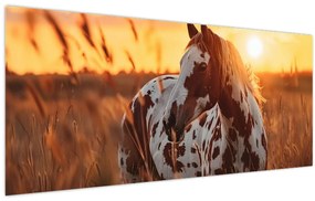 Obraz - Kôň pri západe slnka (120x50 cm)