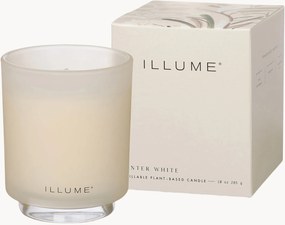 Vonná sviečka Winter White (Citrus Fruits & Cardamom)