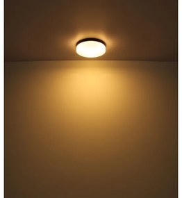 Globo 32112B - Kúpeľňové svietidlo VRANOS 2xE27/60W/230V pr. 24 cm IP44