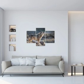 Obraz - Vyjúci vlk (90x60 cm)