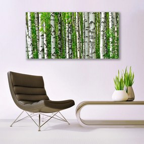 Obraz plexi Les rastlina príroda 120x60 cm