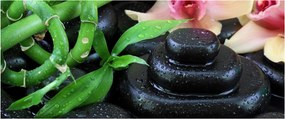 Obraz - Kamene a orchidey (120x50 cm)