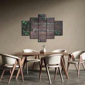 Obraz - Brečtan (150x105 cm)