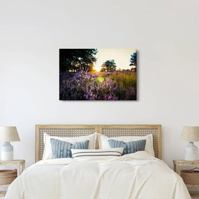 Obraz poľa levanduľou (90x60 cm)