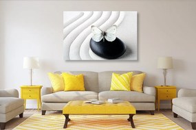 Obraz biely motýľ na čiernom kameni - 60x40